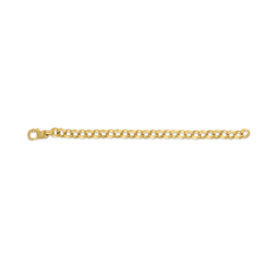 Large Double Link Bracelet with Fibula Clasp