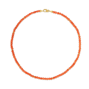 Antique Coral and Gold Strand with Fibula Clasp
