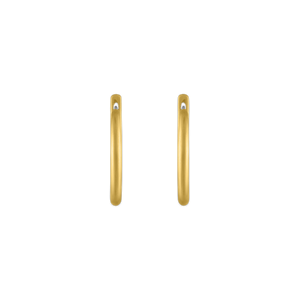 20mm Hinged Hoop and Hook Earrings