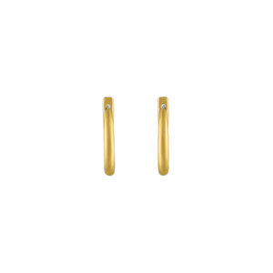 16mm Hinged Hoop and Hook Earrings