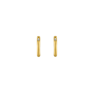 10mm Hinged Hoop and Hook Earrings