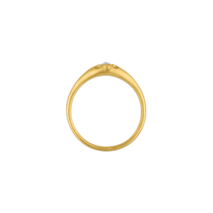 Rosecut Diamond Rosette Souvenir Ring