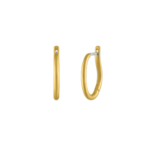 20mm Hinged Hoop and Hook Earrings