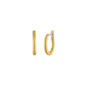 16mm Hinged Hoop and Hook Earrings