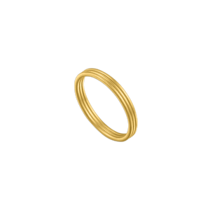 Filum Ring
