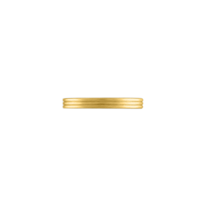 Filum Ring